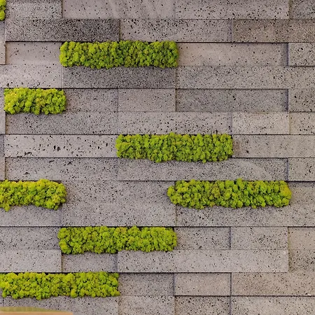 ホテル Neat Avenida 3*