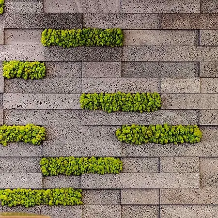 Neat Avenida Szálloda Ponta Delgada