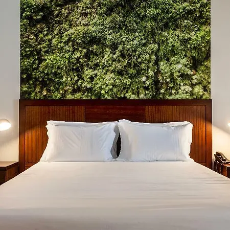 Hotel Neat Avenida