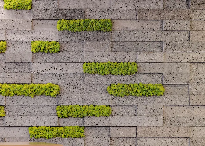 Hotel Neat Avenida 3*