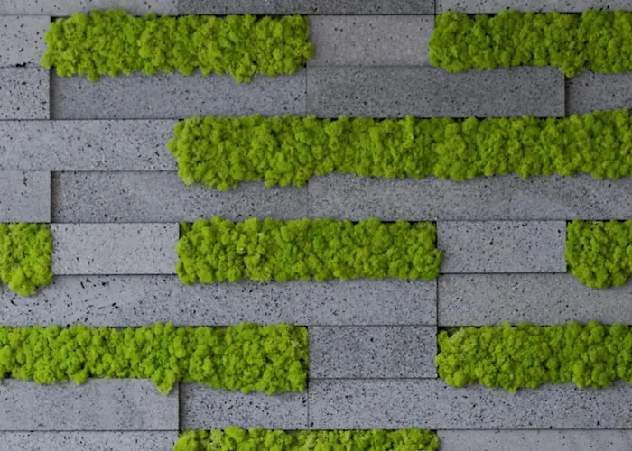 Neat Avenida ホテル ポンタ・デルガダ