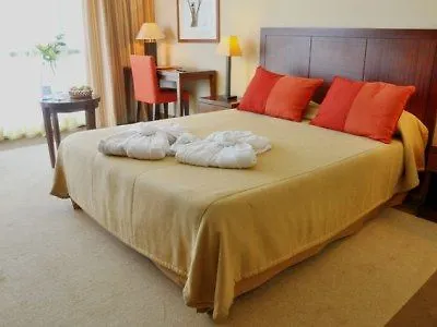 Neat Avenida ポンタ・デルガダ